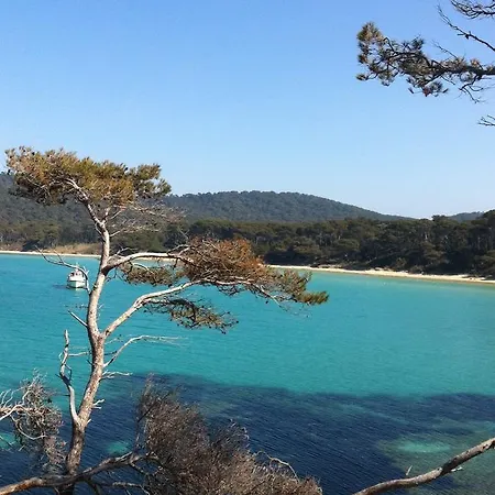 Island Paradise